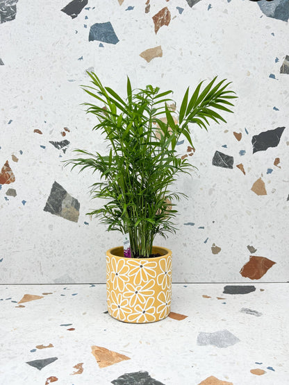Cache-pot Fleuri - Alma Plantes