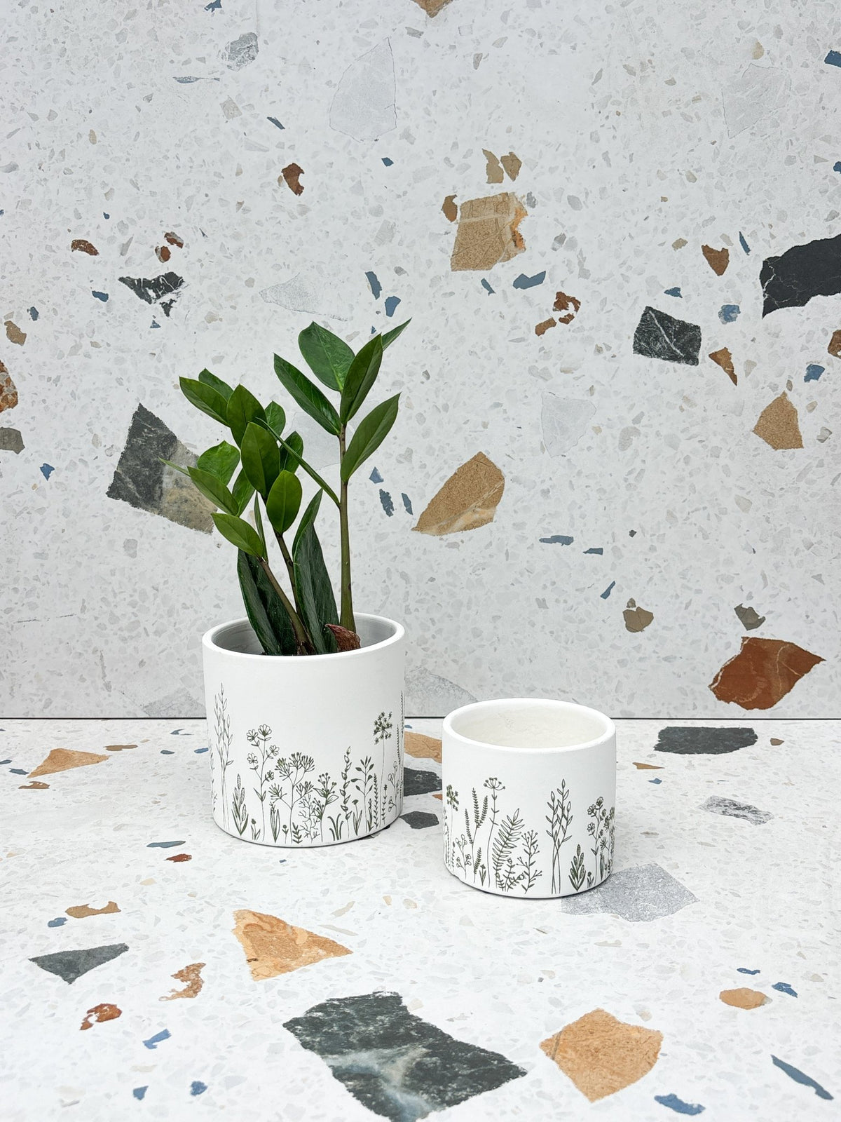 Cache-pot Fleurs fines - Alma Plantes