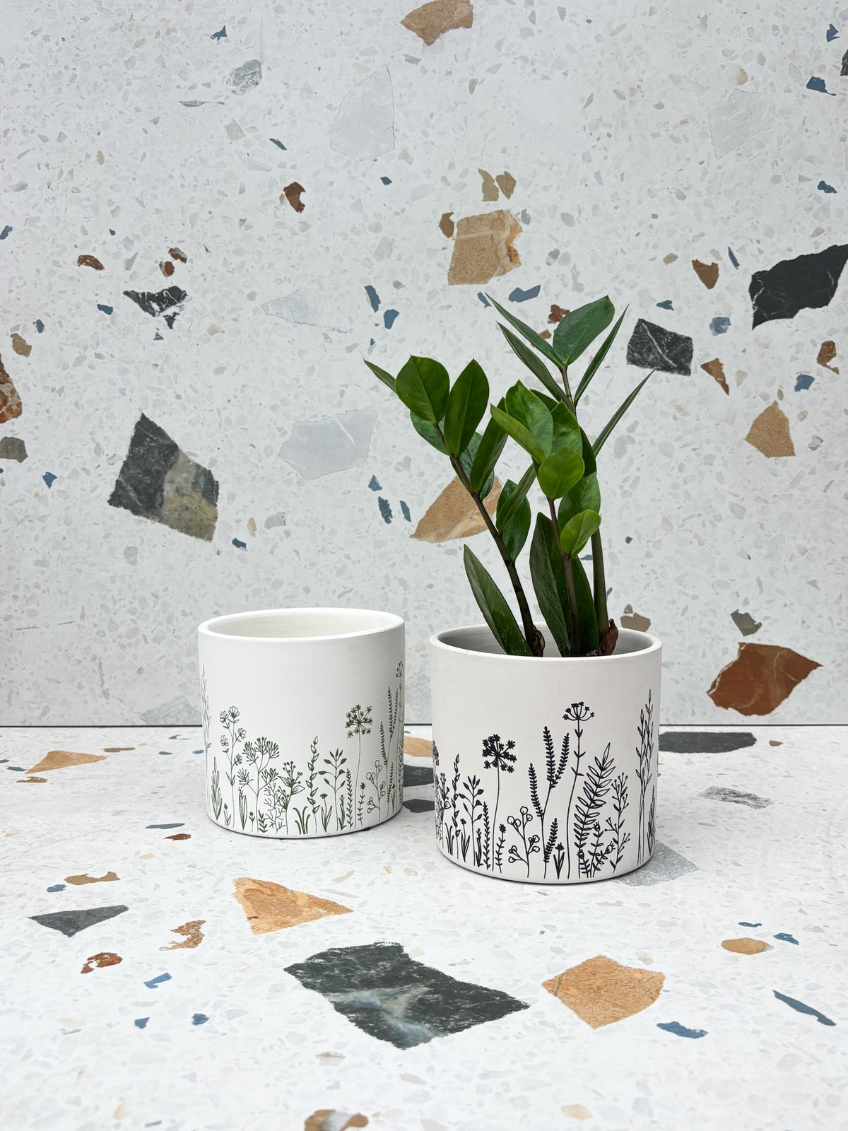 Cache-pot Fleurs fines - Alma Plantes