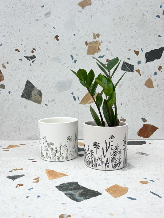 Cache-pot Fleurs fines - Alma Plantes