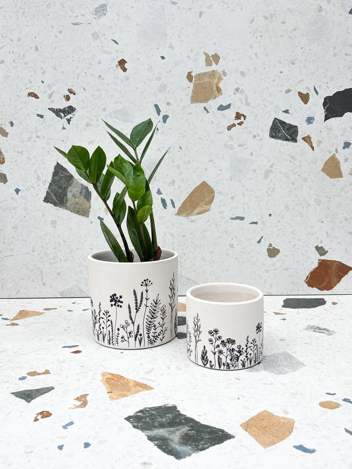 Cache-pot Fleurs fines - Alma Plantes
