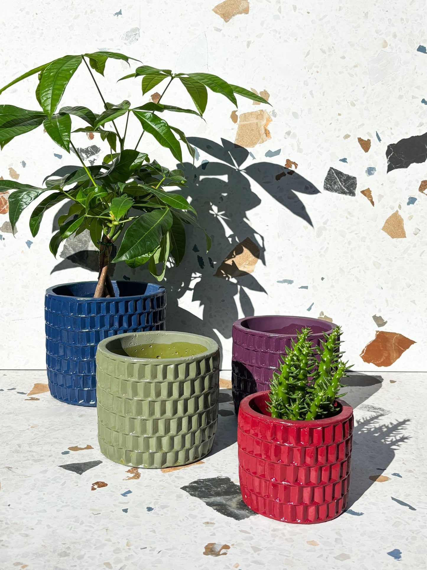 Cache-pot Ingo - Alma Plantes