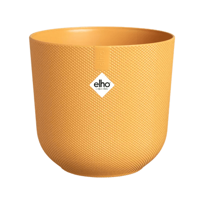 Cache - pot Jazz - Alma Plantes