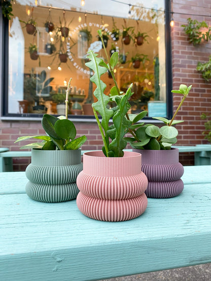 Cache pot 'Le Beignet' - Alma Plantes