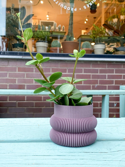 Cache pot 'Le Beignet' - Alma Plantes