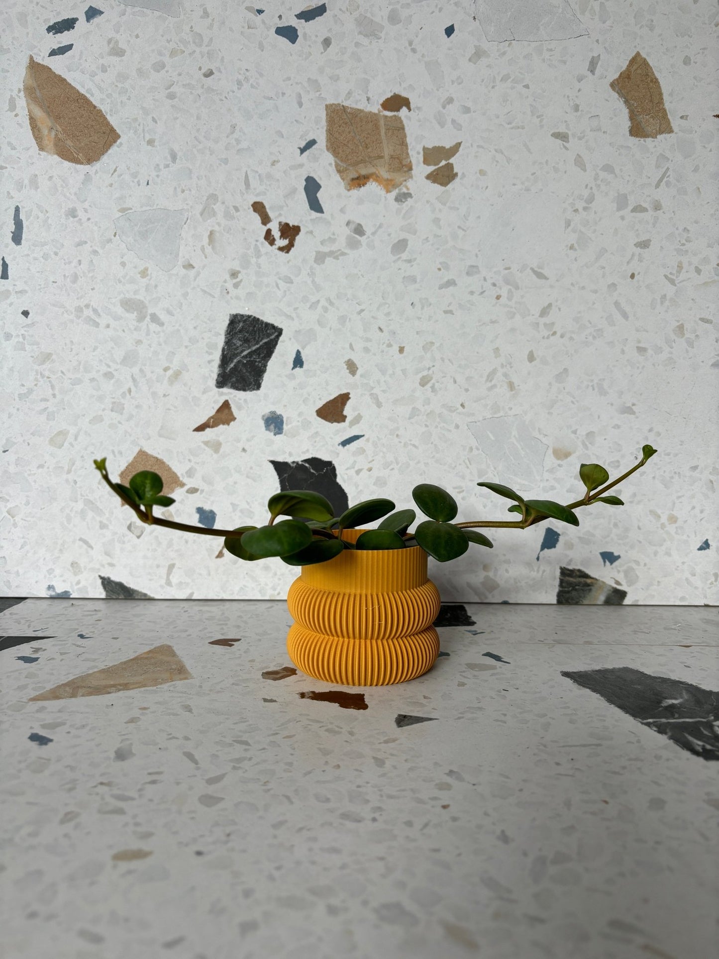 Cache pot 'Le Beignet' - Alma Plantes