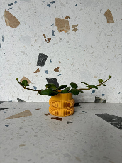 Cache pot 'Le Beignet' - Alma Plantes