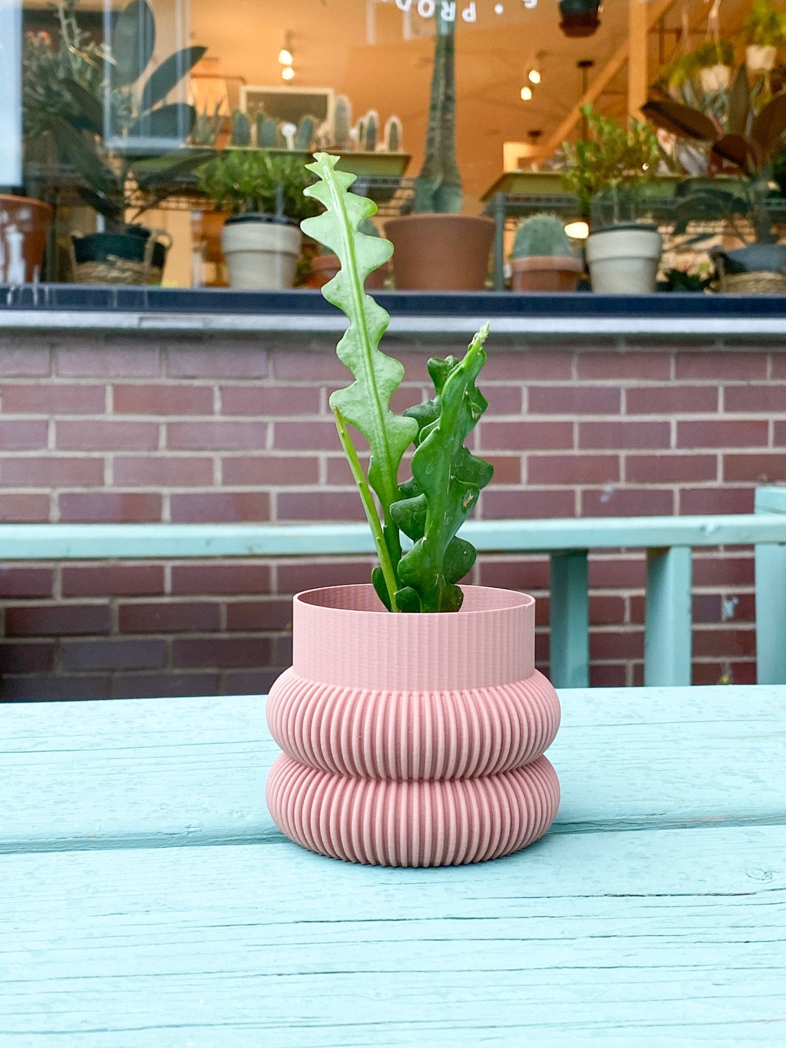 Cache pot 'Le Beignet' - Alma Plantes