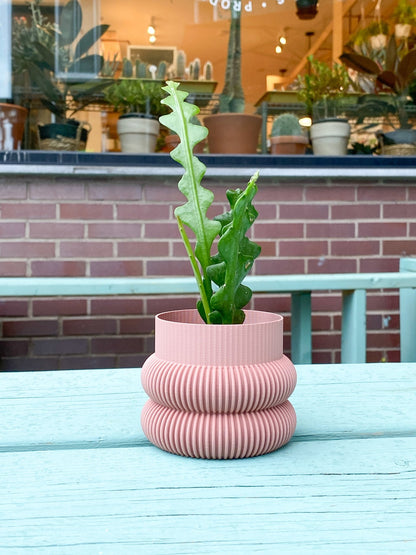 Cache pot 'Le Beignet' - Alma Plantes