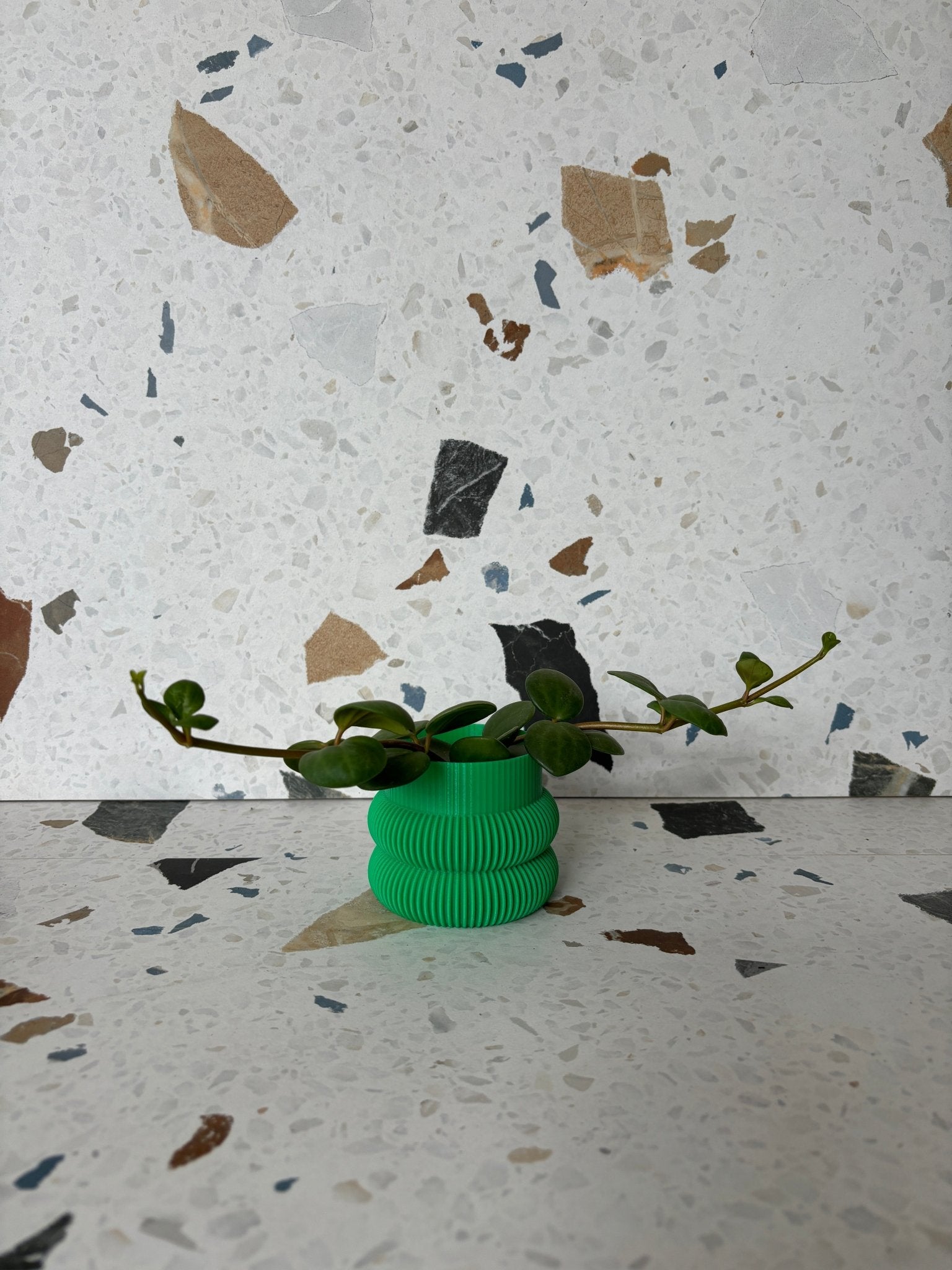 Cache pot 'Le Beignet' - Alma Plantes