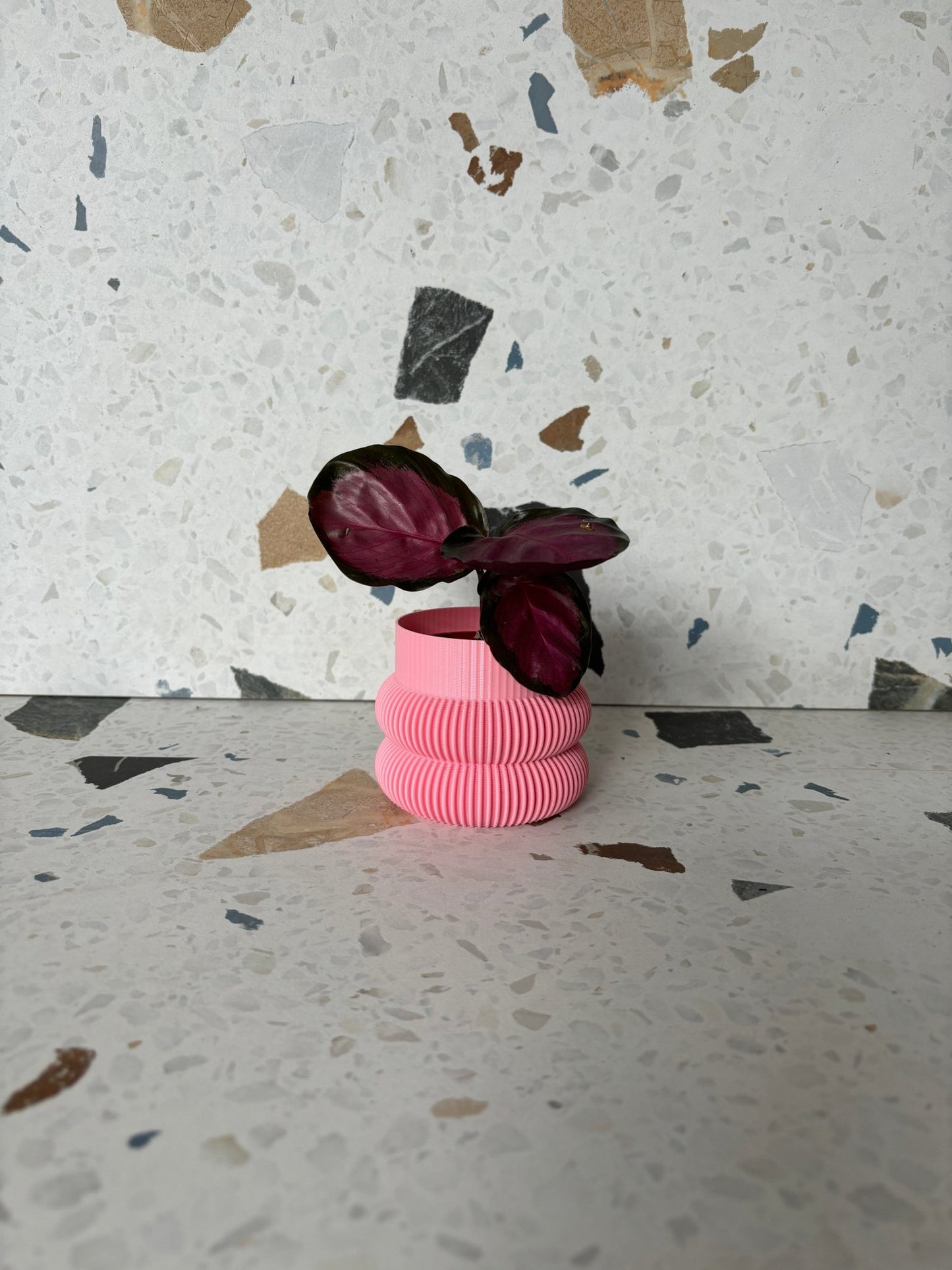 Cache pot 'Le Beignet' - Alma Plantes