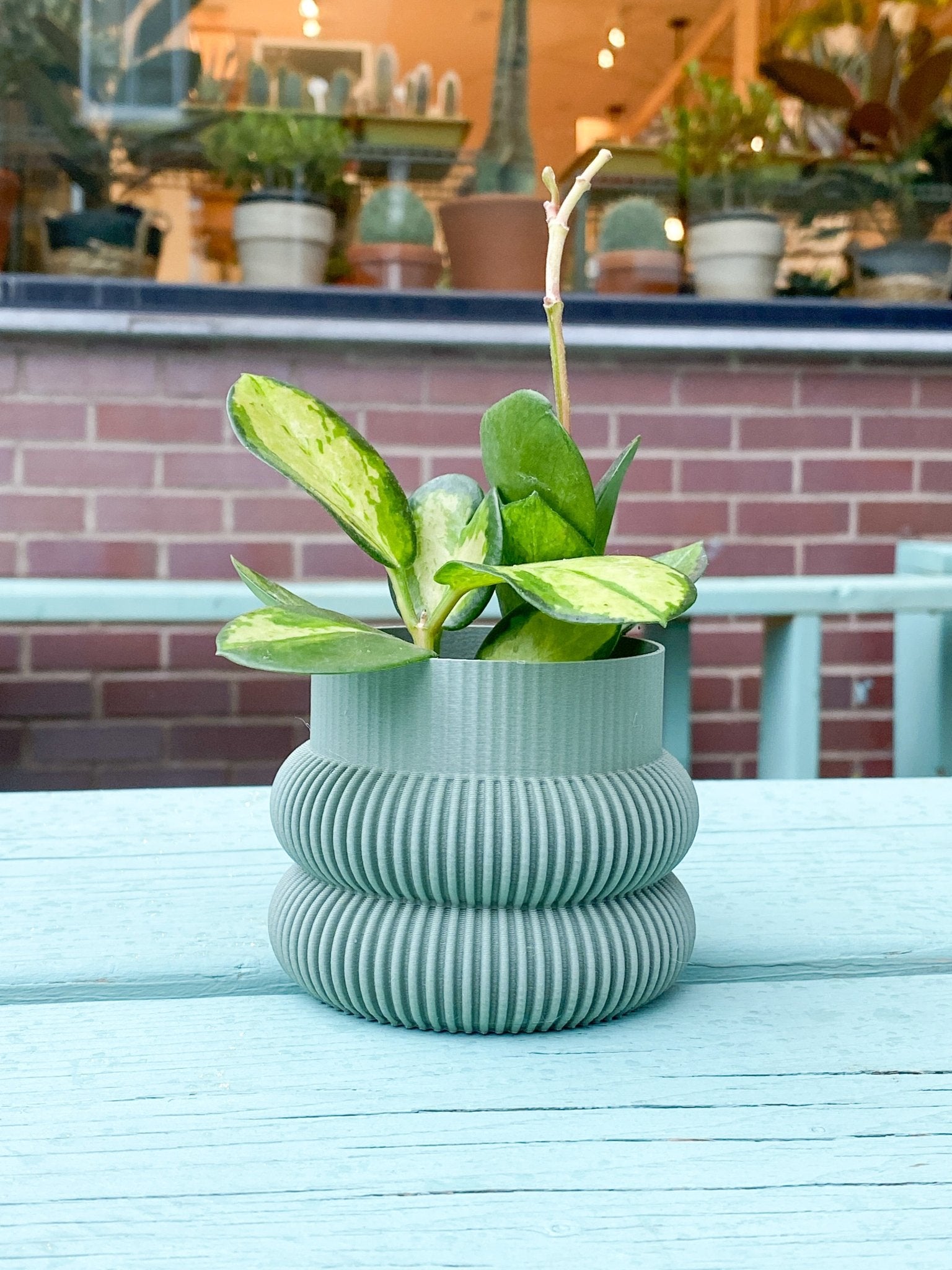 Cache pot 'Le Beignet' - Alma Plantes