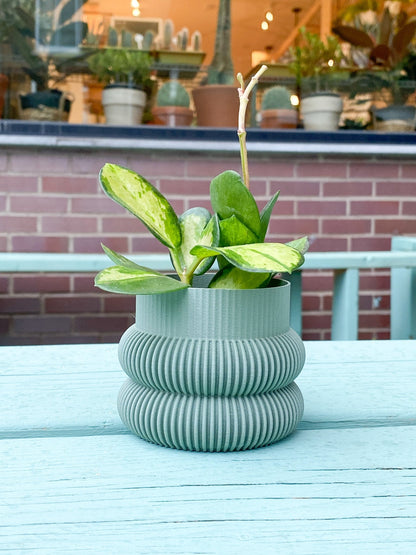 Cache pot 'Le Beignet' - Alma Plantes