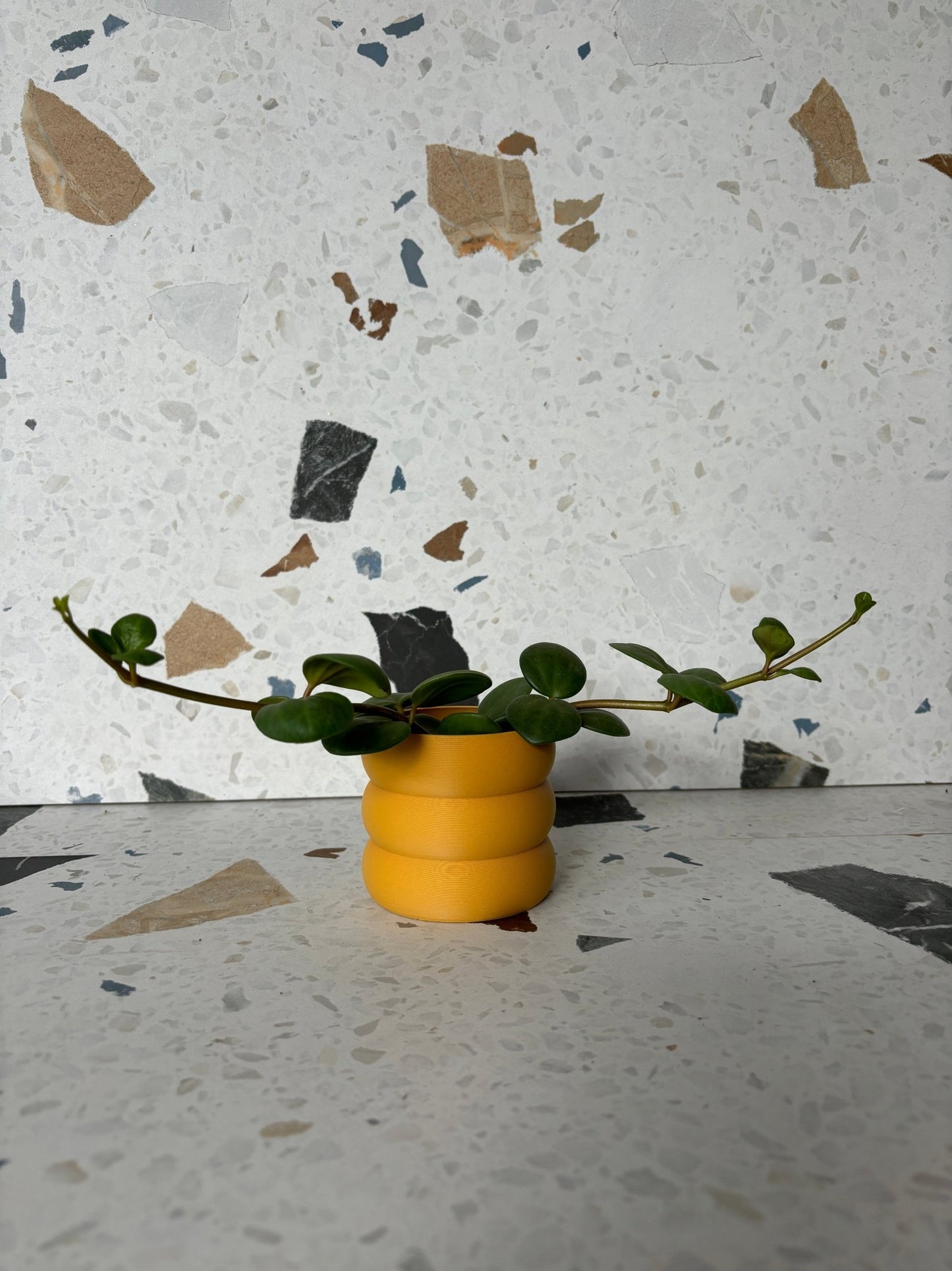 Cache pot 'Le Bubbly' - Alma Plantes