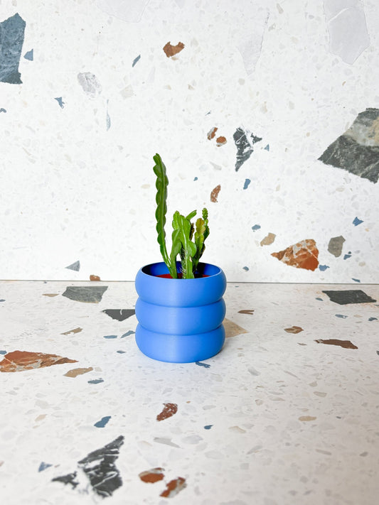 Cache pot 'Le Bubbly' - Alma Plantes