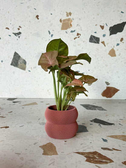 Cache pot 'Le Charmant' - Alma Plantes