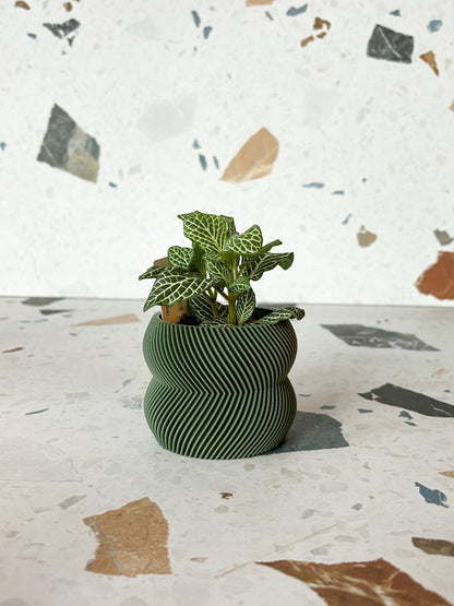 Cache pot 'Le Charmant' - Alma Plantes
