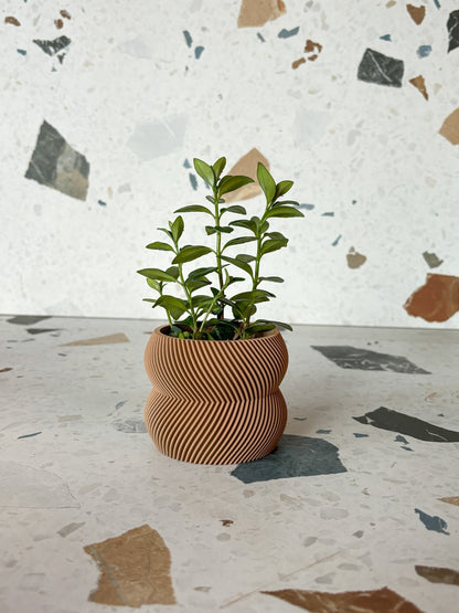 Cache pot 'Le Charmant' - Alma Plantes