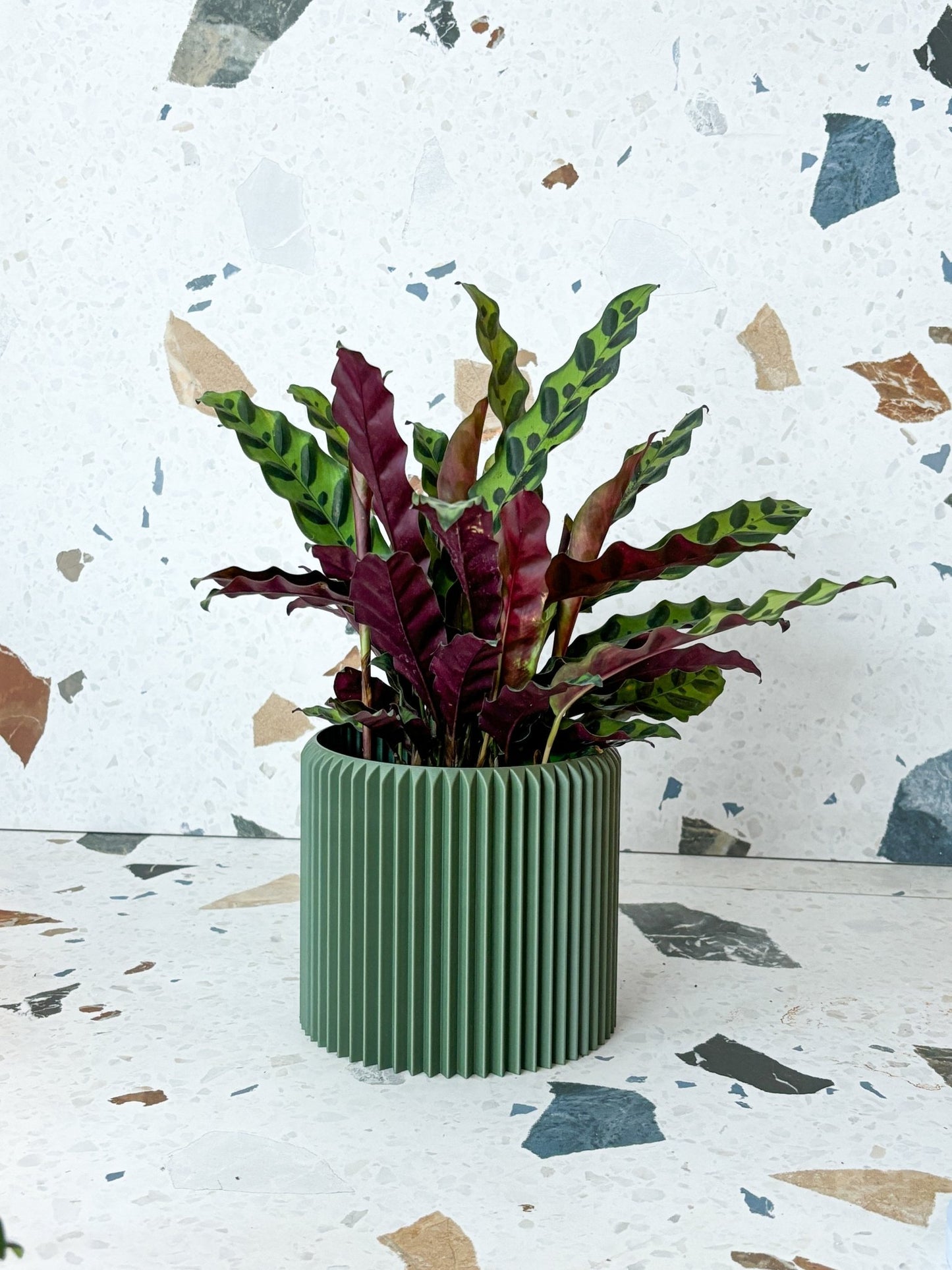 Cache pot 'Le Coquet' - Alma Plantes