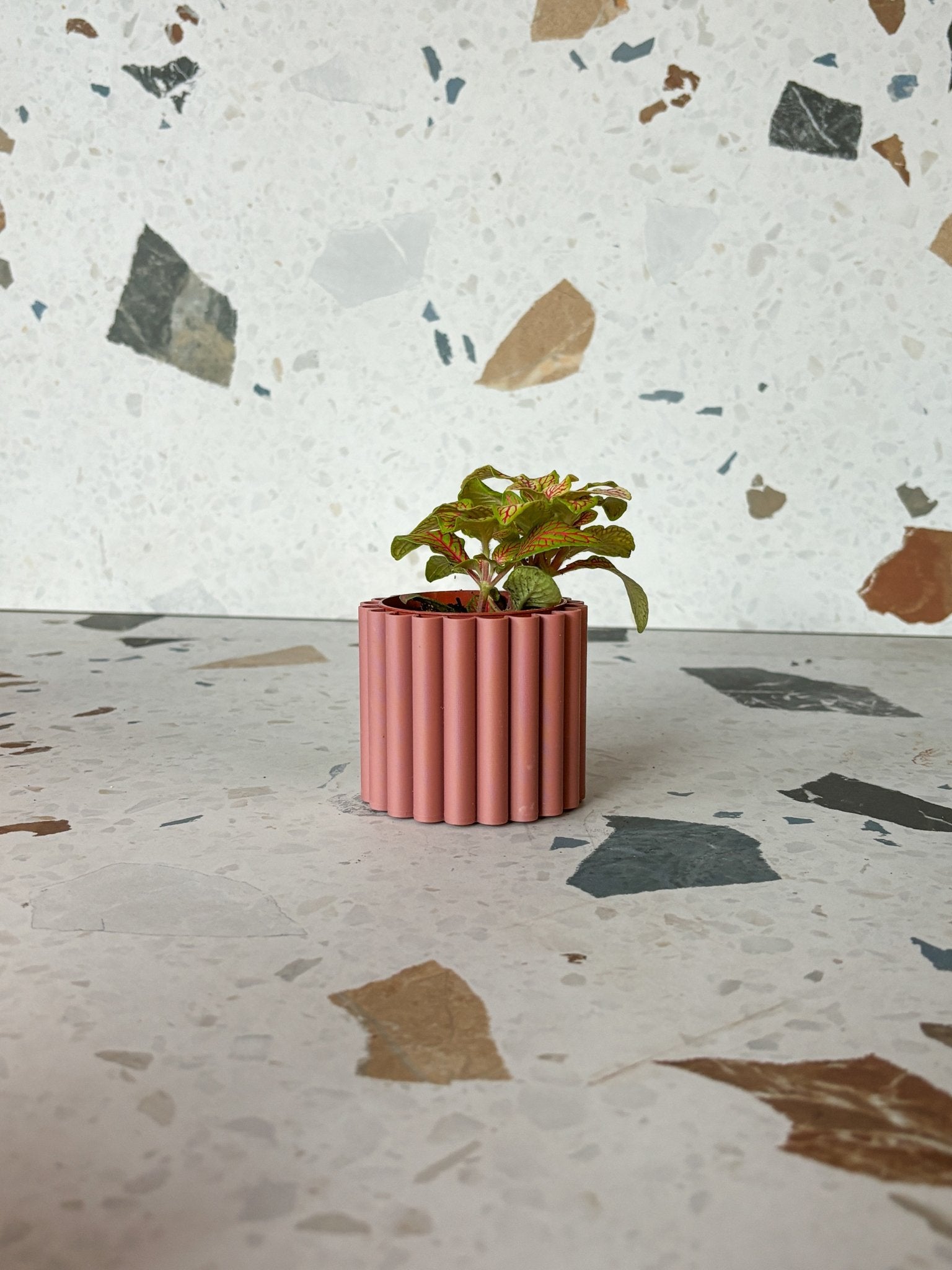 Cache pot 'Le Fleuri' - Alma Plantes