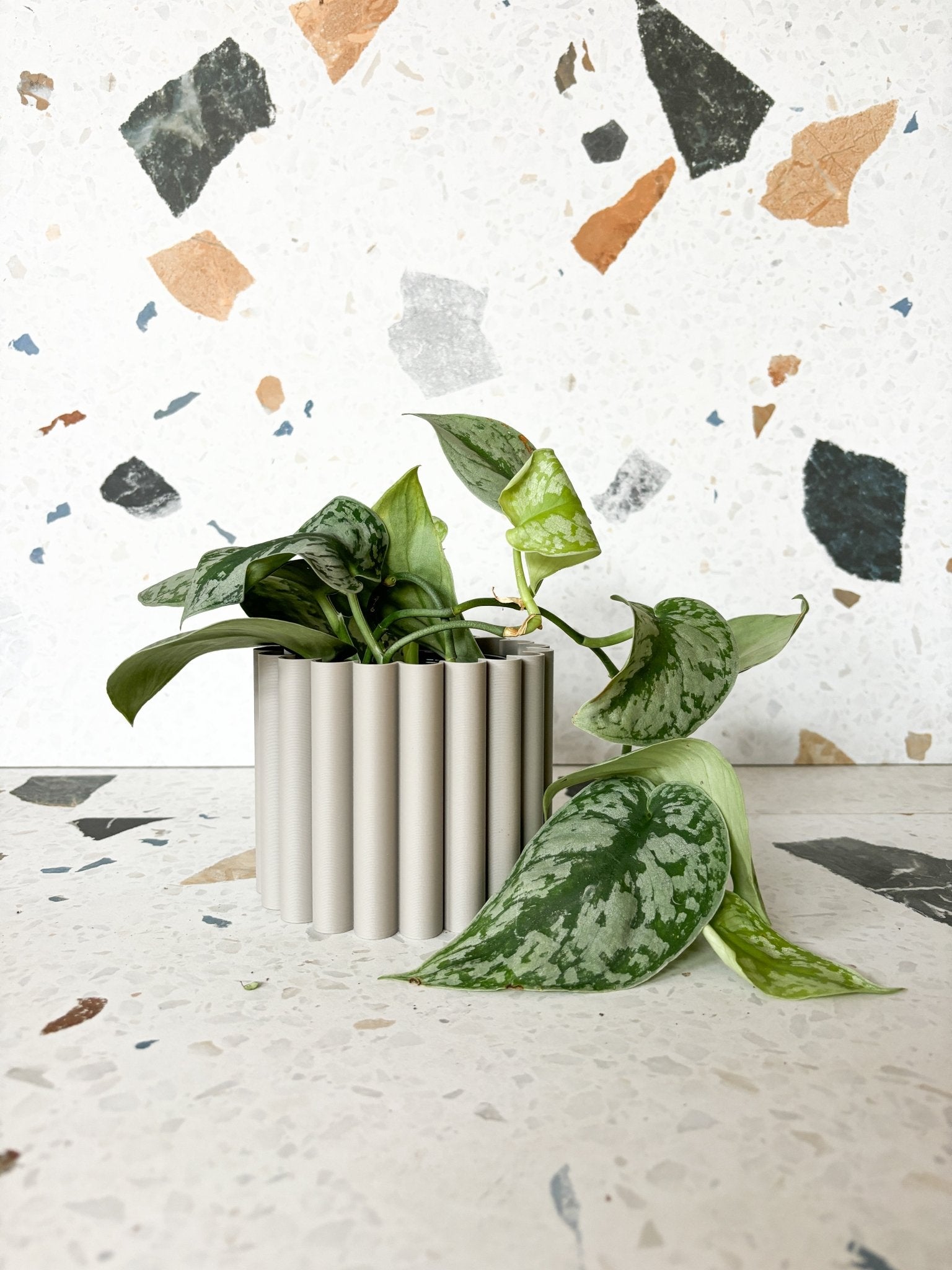 Cache pot 'Le Fleuri' - Alma Plantes