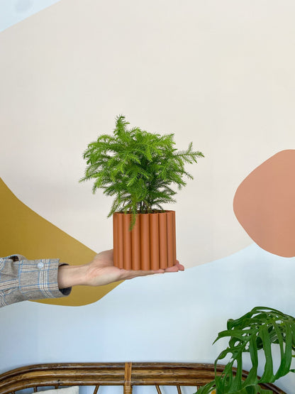 Cache pot 'Le Fleuri' - Alma Plantes