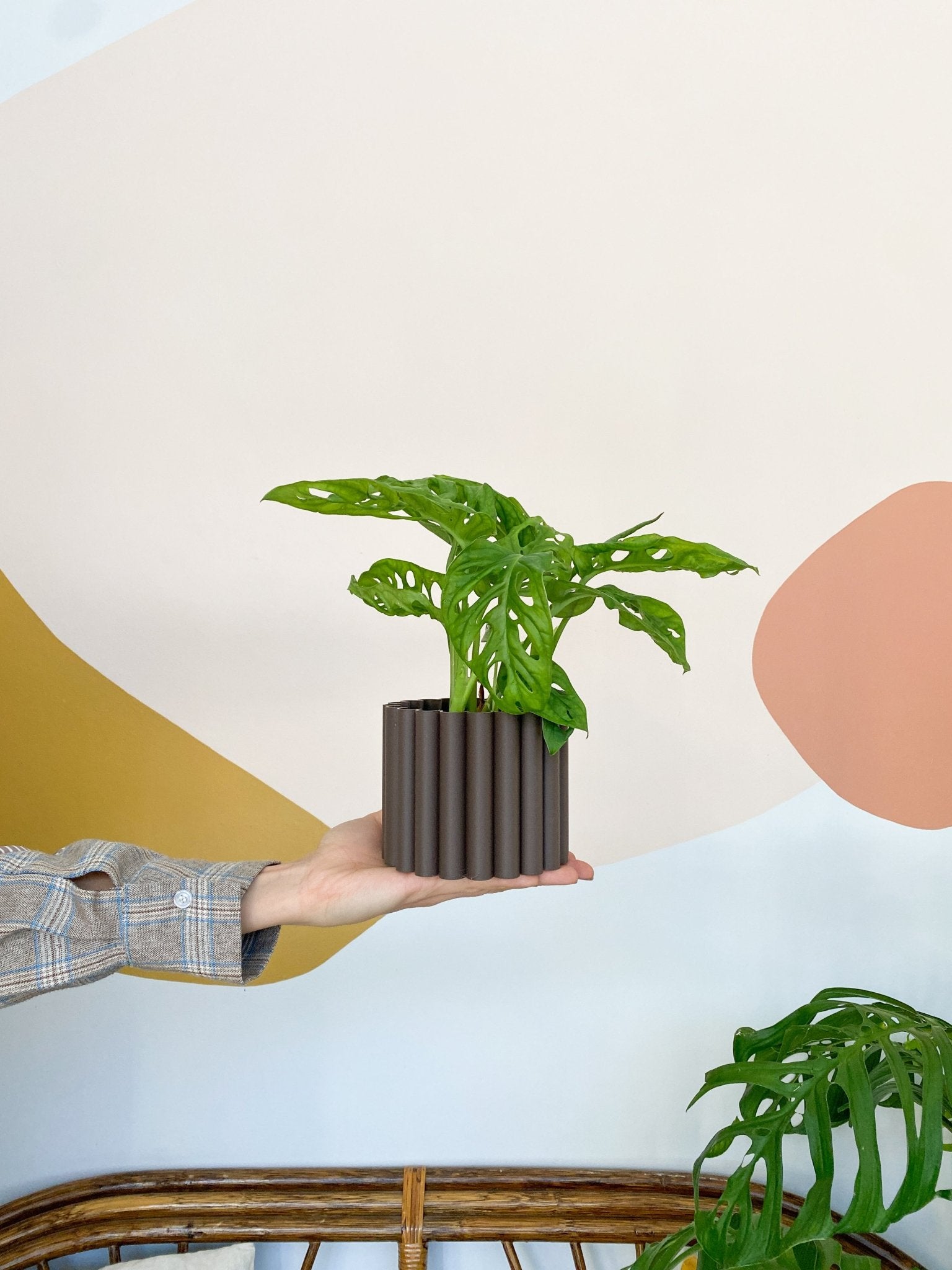 Cache pot 'Le Fleuri' - Alma Plantes