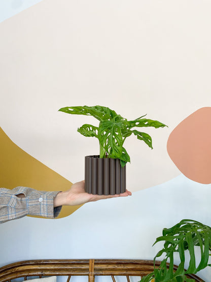 Cache pot 'Le Fleuri' - Alma Plantes