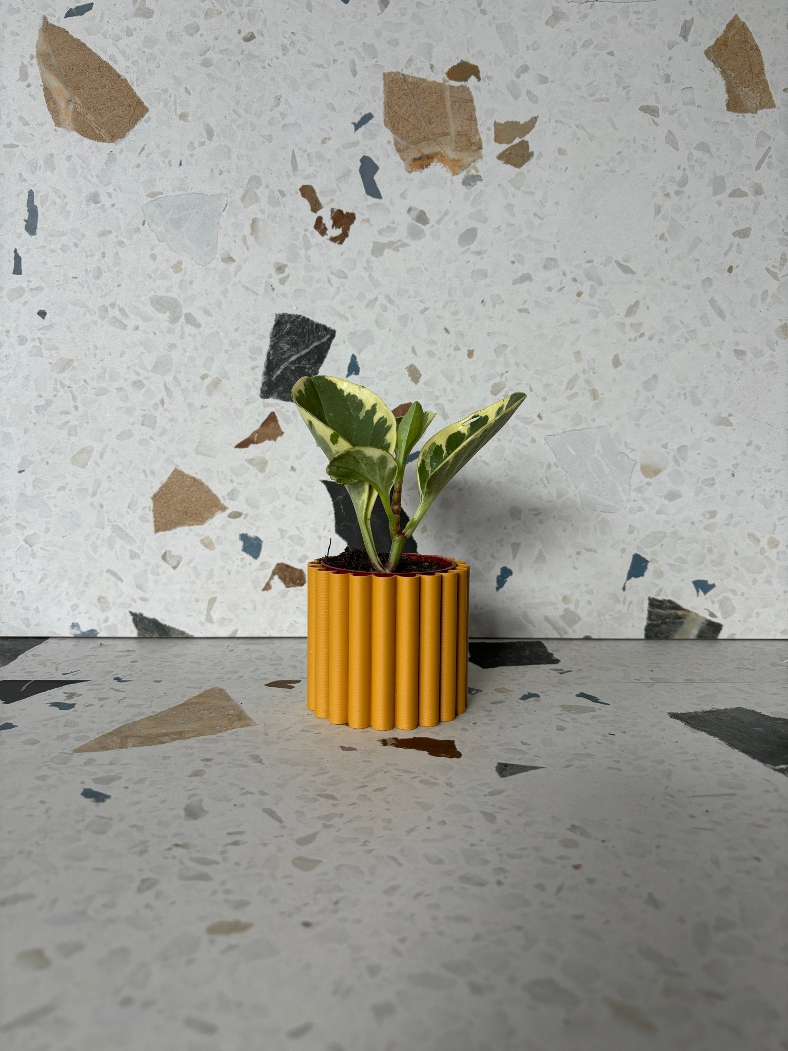 Cache pot 'Le Fleuri' - Alma Plantes