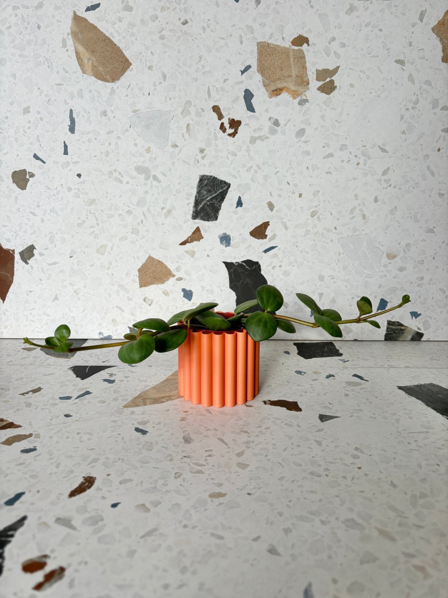 Cache pot 'Le Fleuri' - Alma Plantes