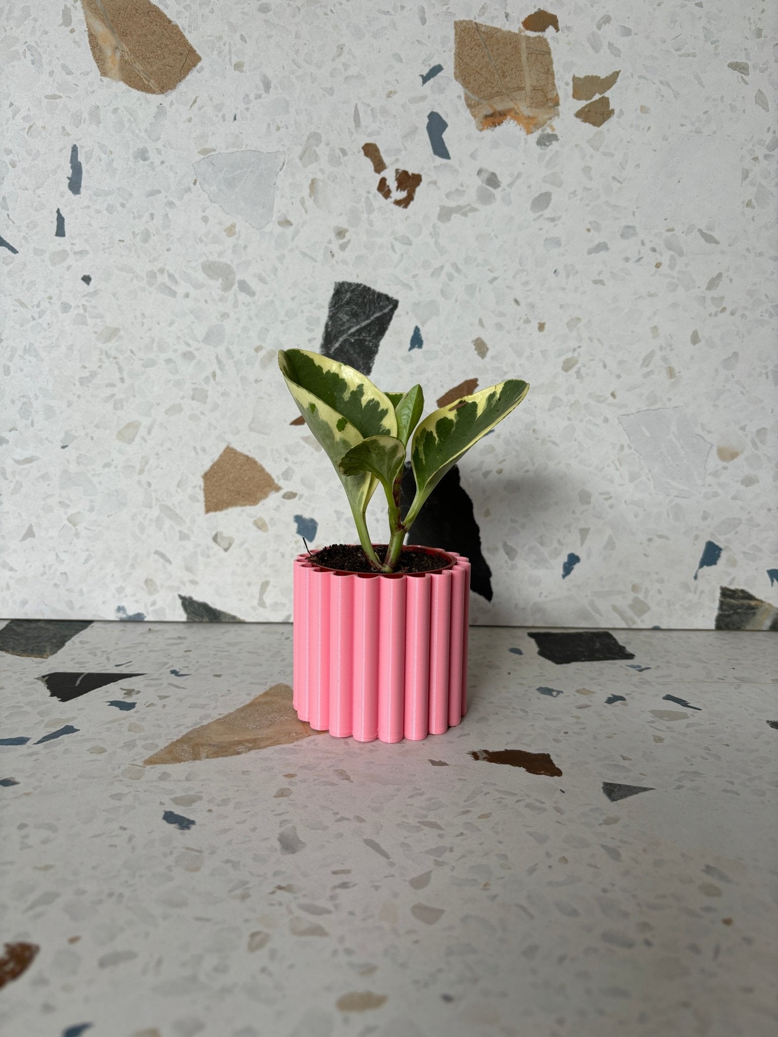 Cache pot 'Le Fleuri' - Alma Plantes