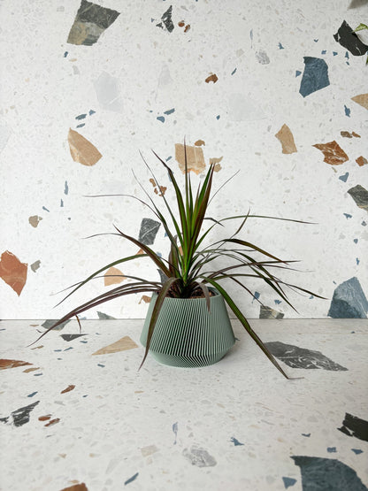 Cache pot 'Le Joli' - Alma Plantes