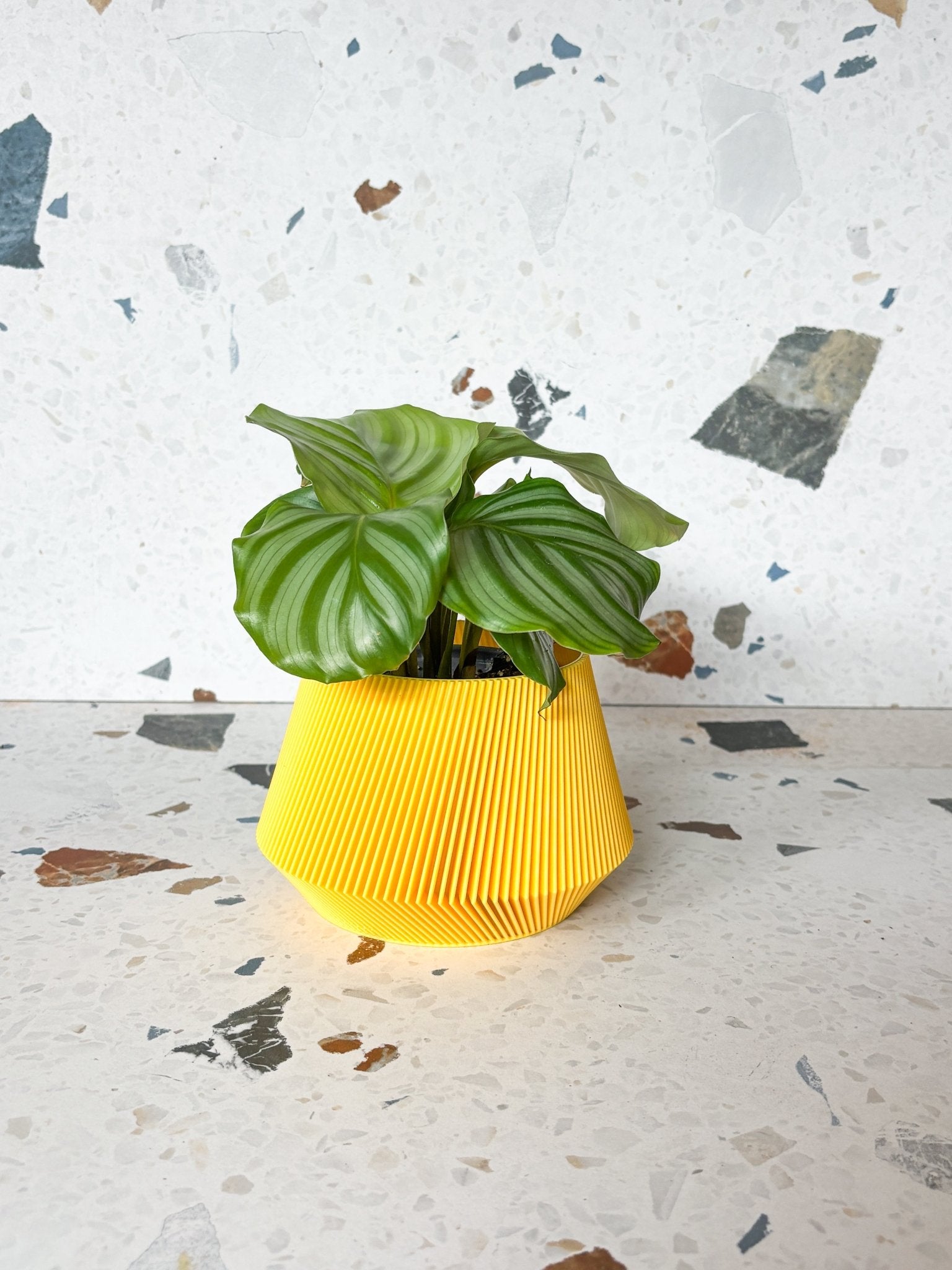 Cache pot 'Le Joli' - Alma Plantes