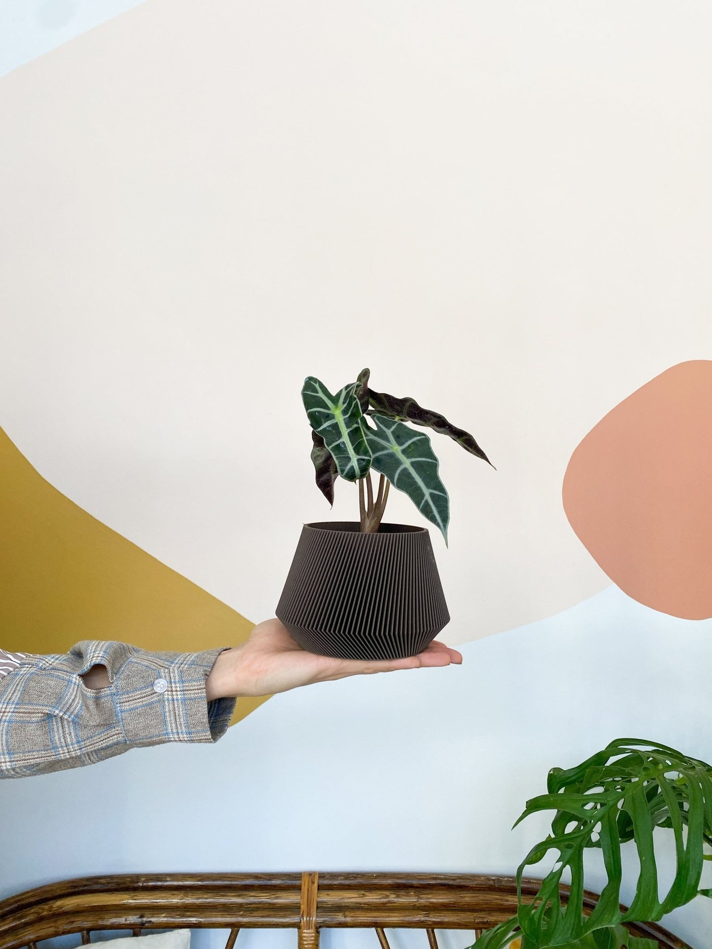 Cache pot 'Le Joli' - Alma Plantes