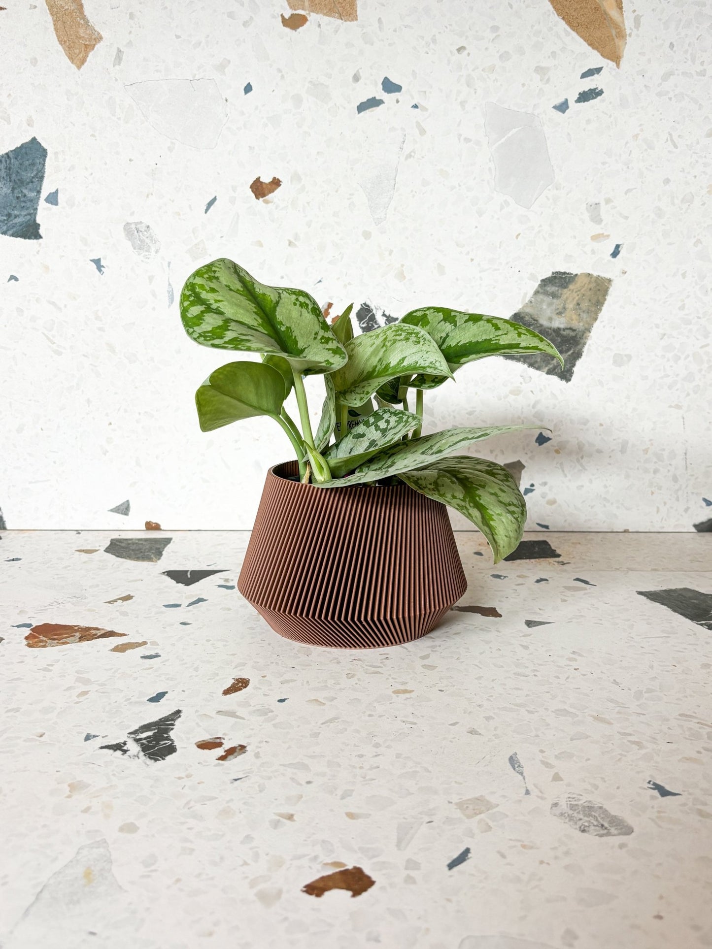 Cache pot 'Le Joli' - Alma Plantes