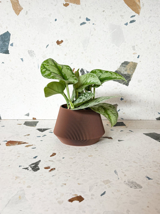 Cache pot 'Le Joli' - Alma Plantes