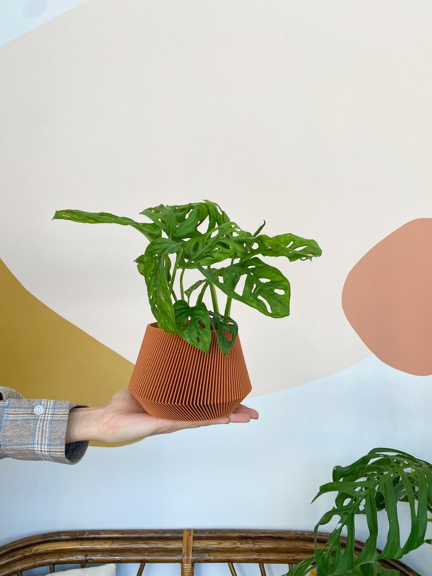 Cache pot 'Le Joli' - Alma Plantes