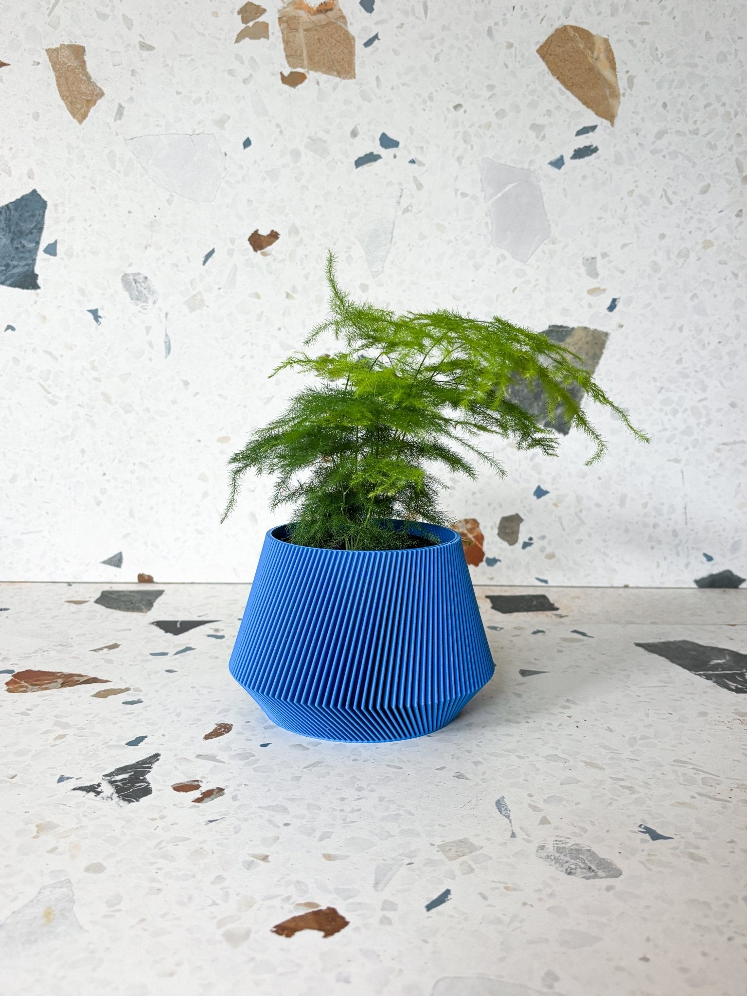 Cache pot 'Le Joli' - Alma Plantes