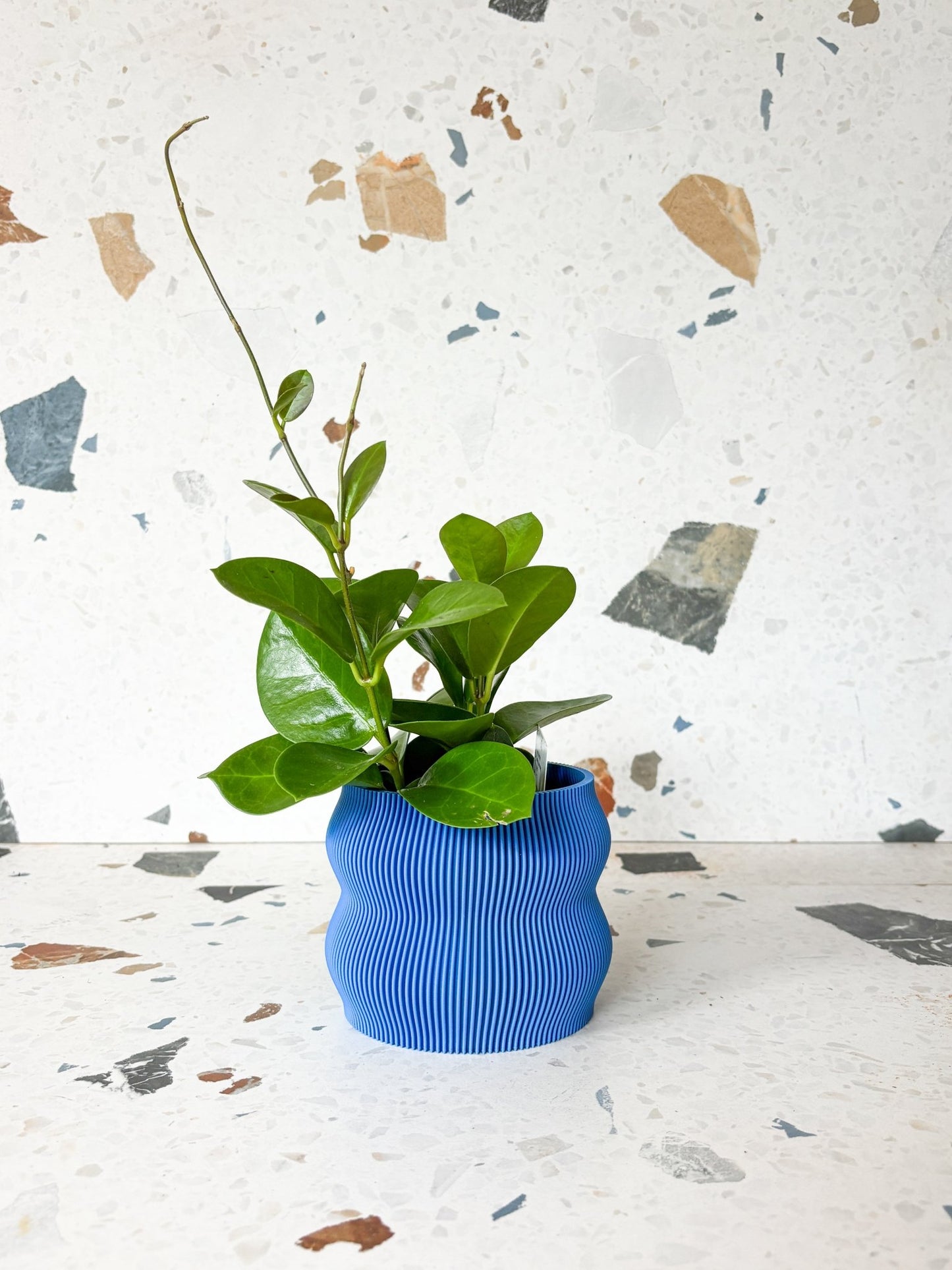 Cache pot 'Le Nuancé' - Alma Plantes