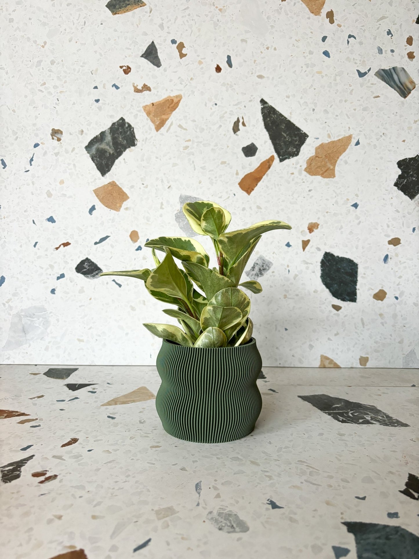 Cache pot 'Le Nuancé' - Alma Plantes