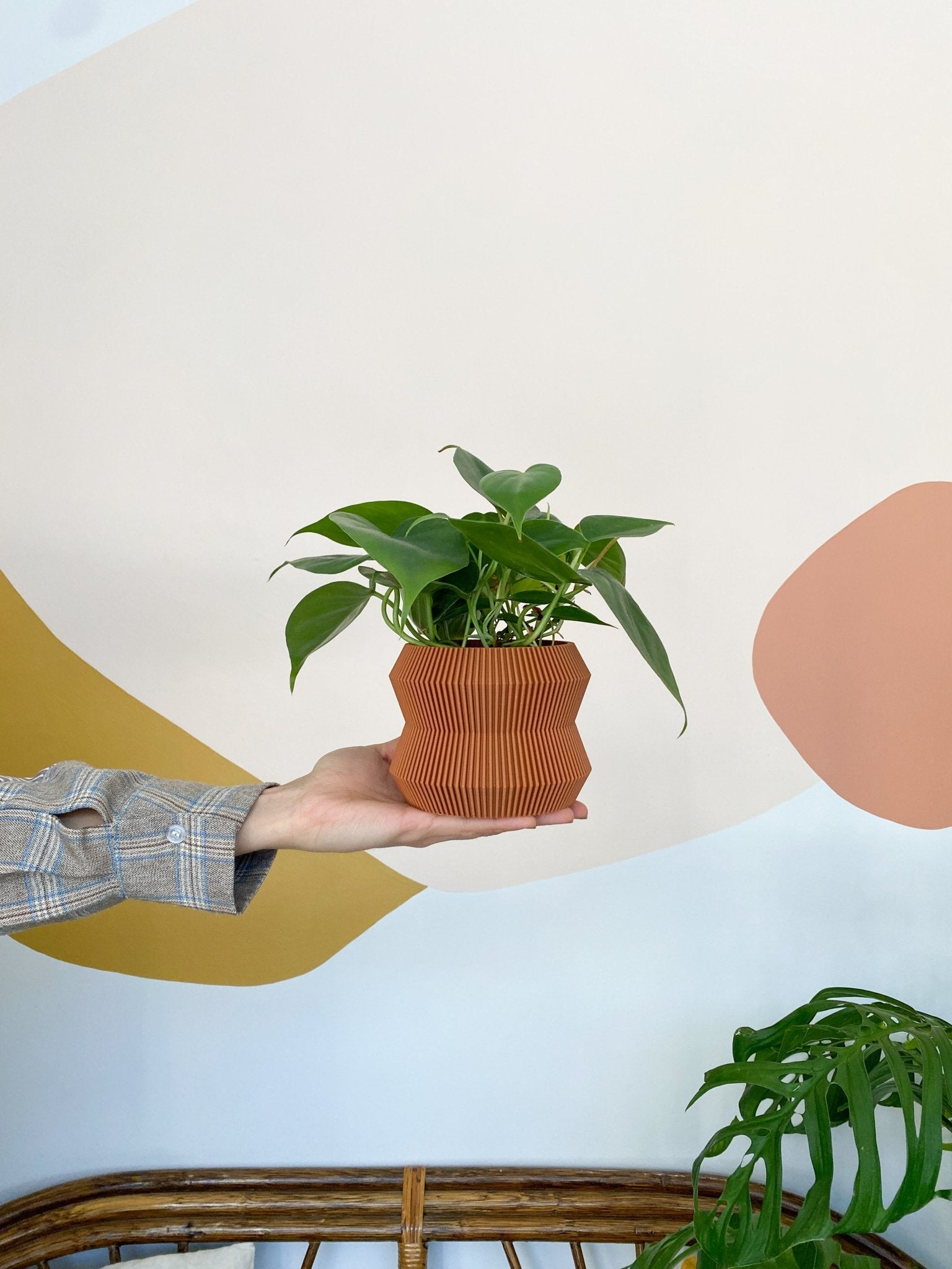 Cache pot 'Le Rayonnant' - Alma Plantes