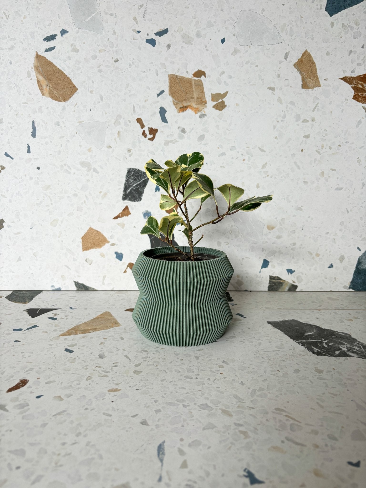 Cache pot 'Le Rayonnant' - Alma Plantes