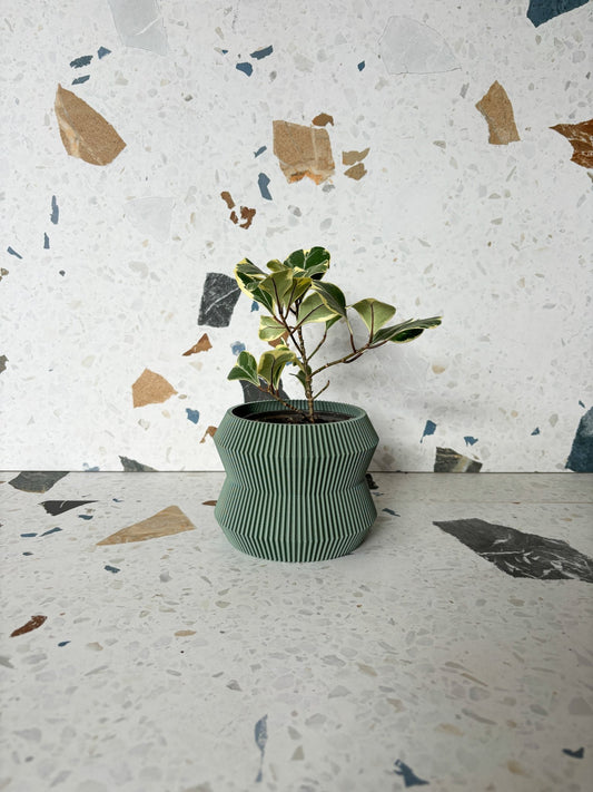 Cache pot 'Le Rayonnant' - Alma Plantes