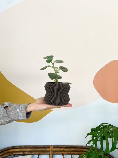 Cache pot 'Le Rayonnant' - Alma Plantes