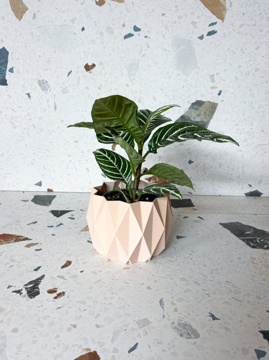 Cache pot 'Le Stylé' - Alma Plantes