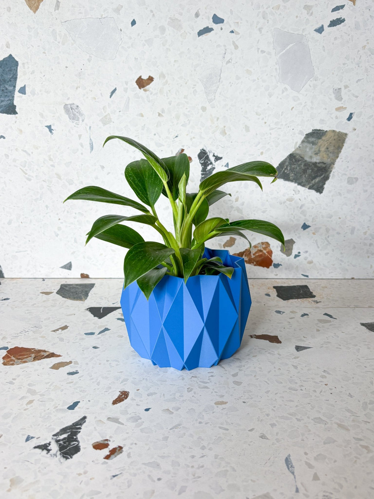 Cache pot 'Le Stylé' - Alma Plantes