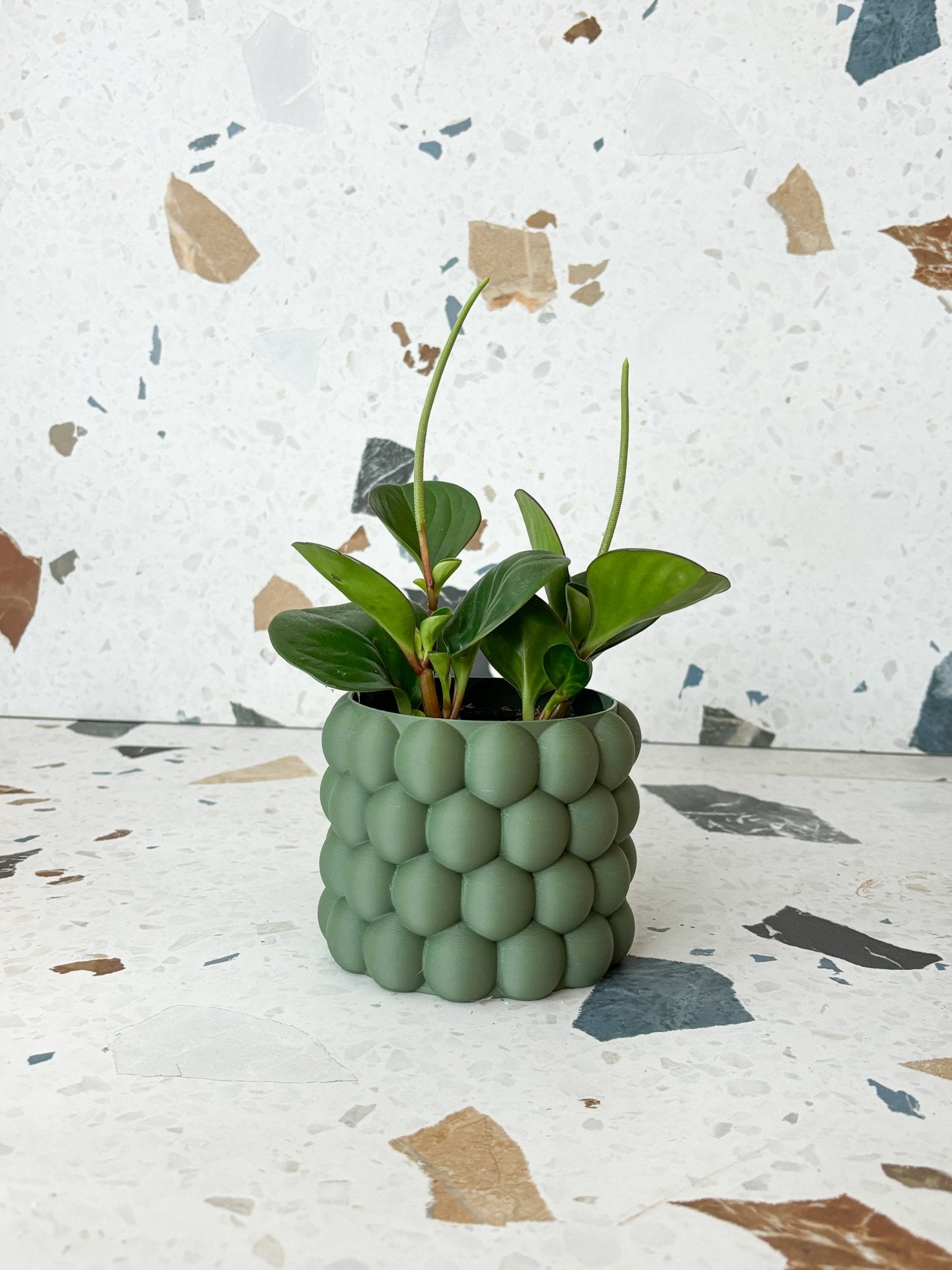 Cache pot "L'Éclaté" - Alma Plantes