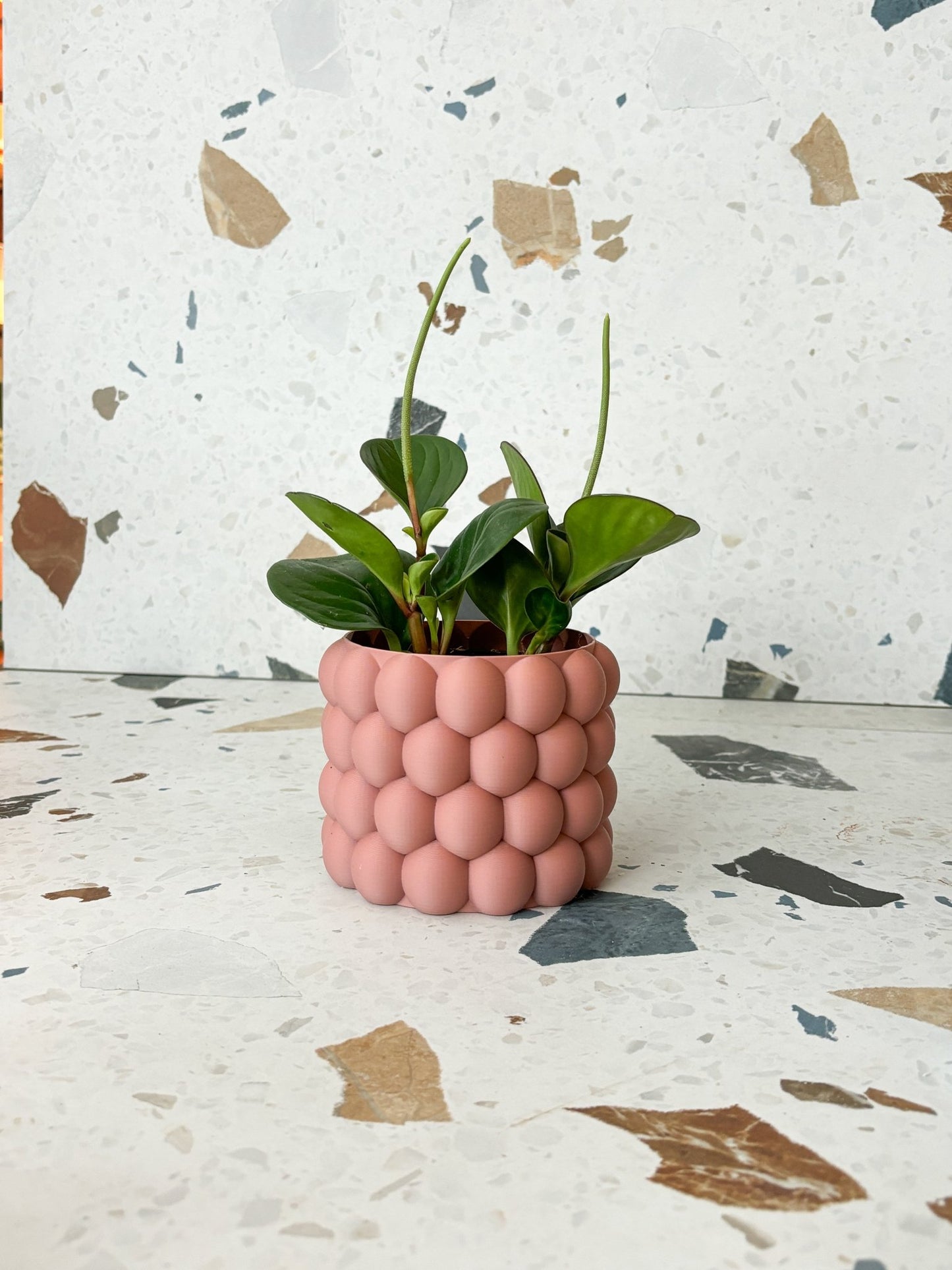 Cache pot "L'Éclaté" - Alma Plantes