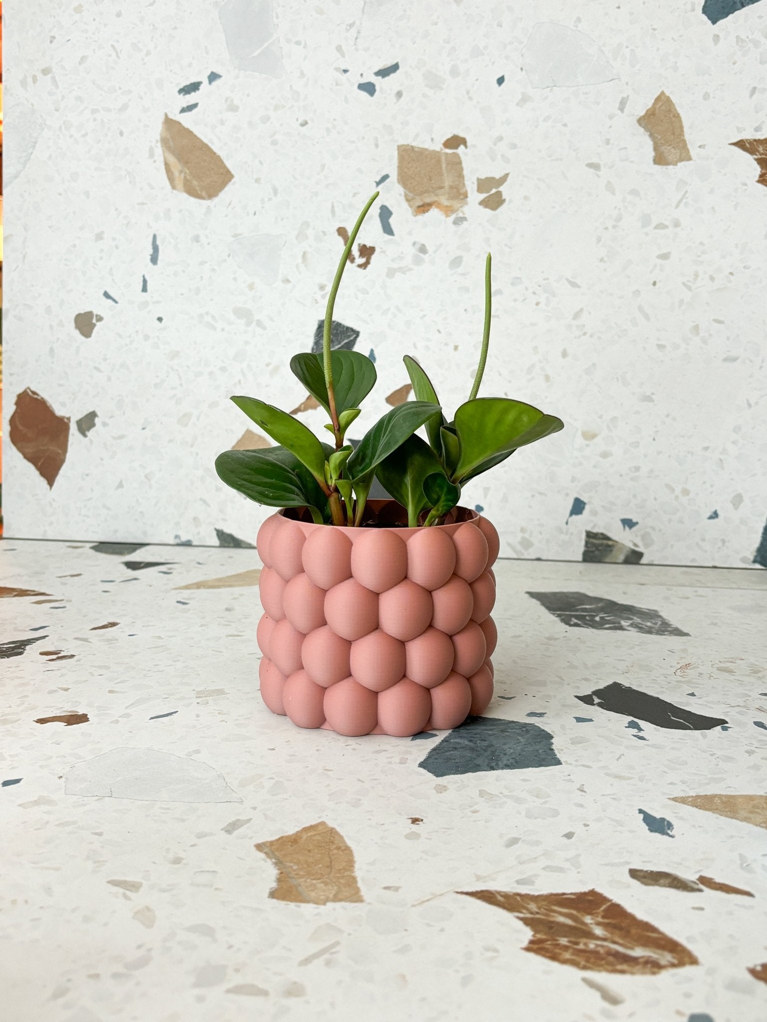 Cache pot "L'Éclaté" - Alma Plantes