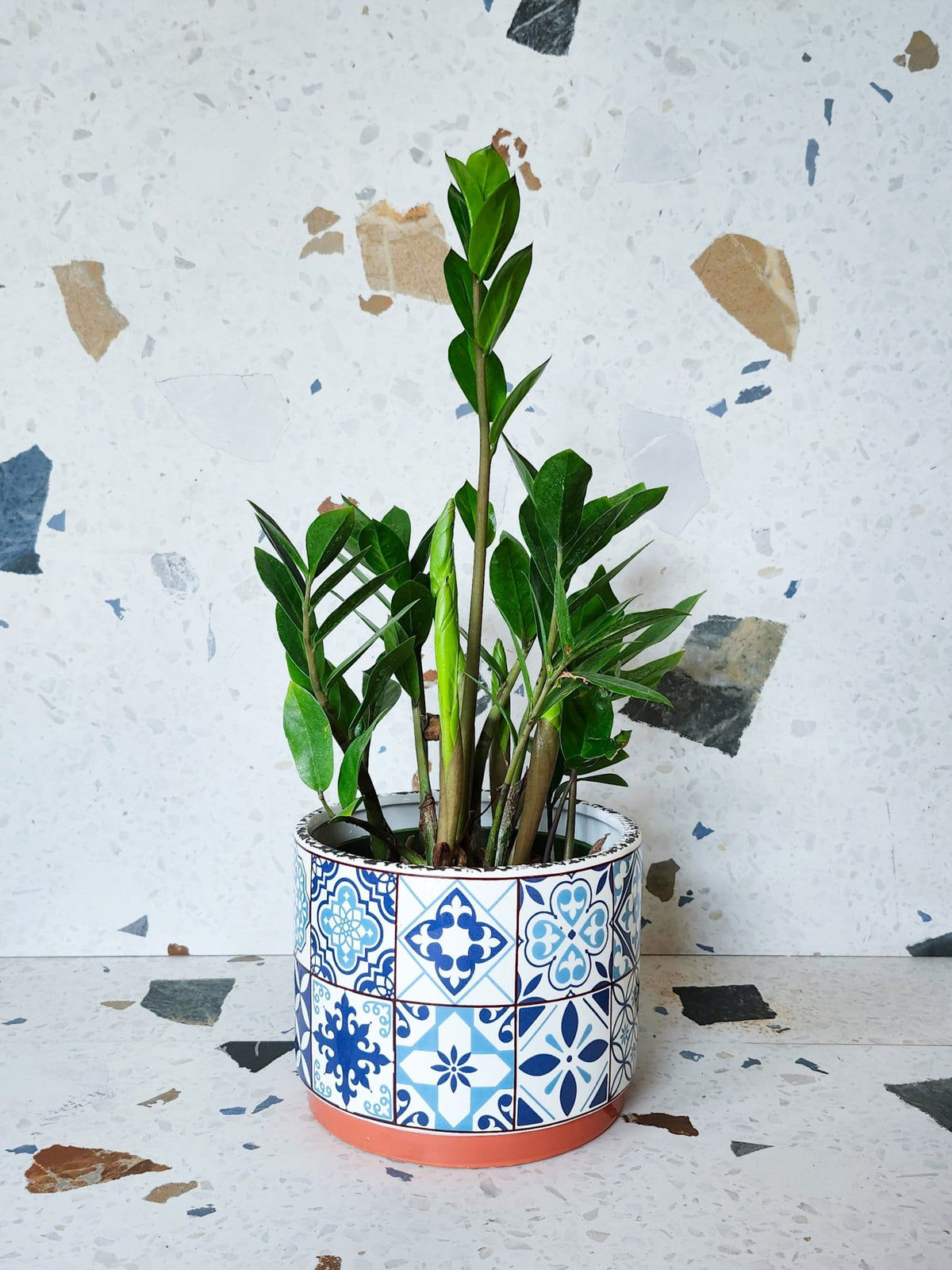 Cache-pot mosaïque - Alma Plantes
